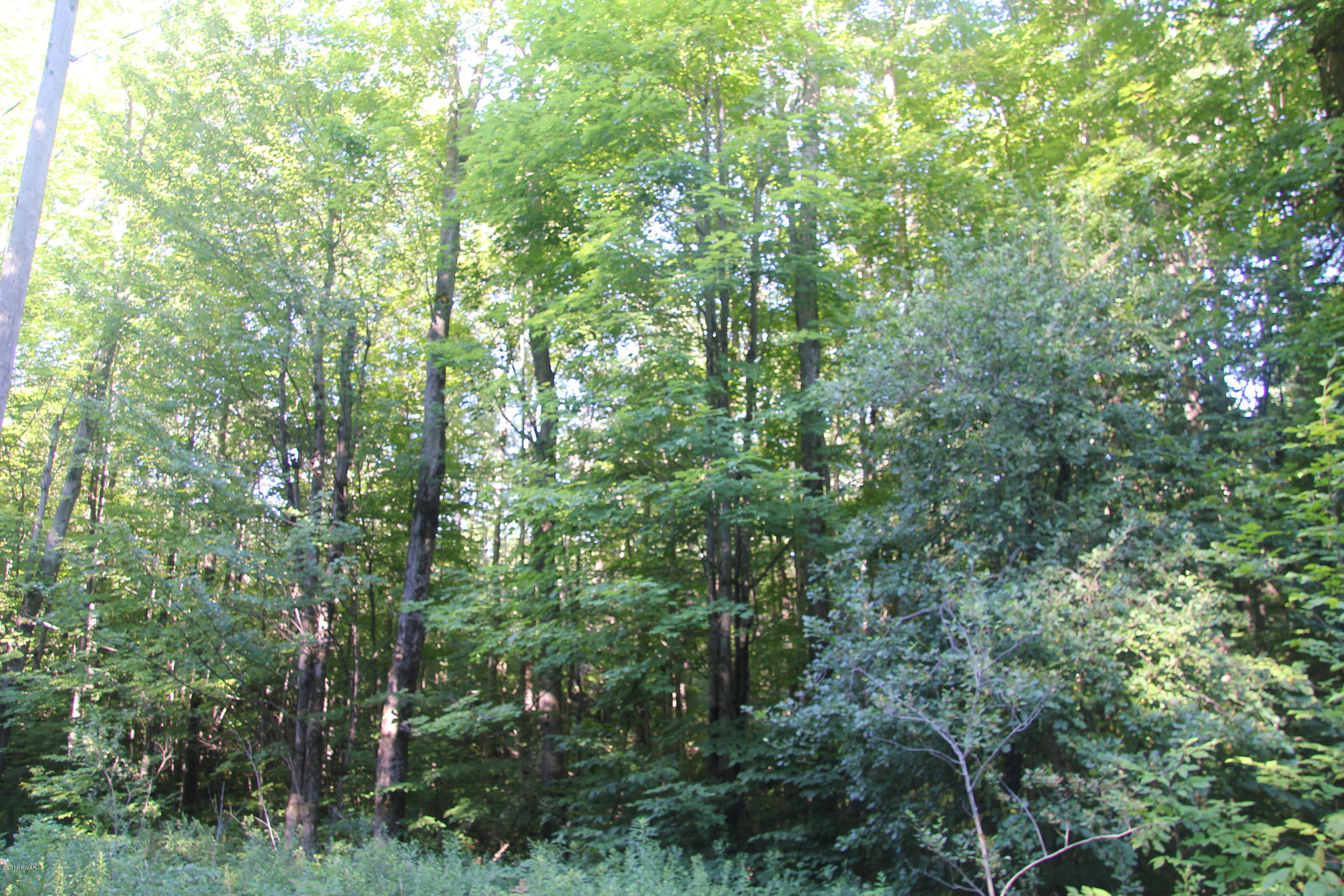 Winship Road Moscow, PA 18444 - Photo 4 of 8