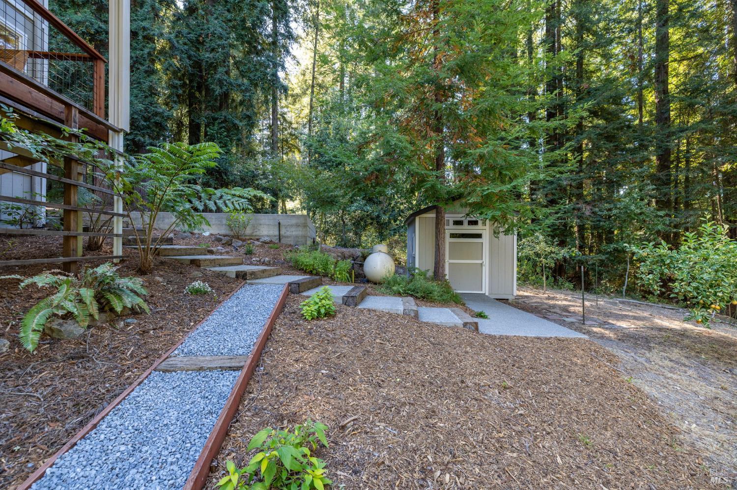 2132 Green Hill Road Sebastopol, CA 95472 - Photo 51 of 55 A detached shed provides additional storage space.