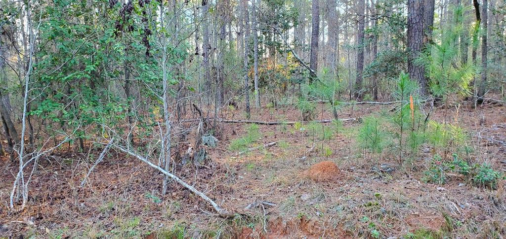 4114 Vern Sikking Road Appling, GA 30802 - Photo 1 of 1 Main View