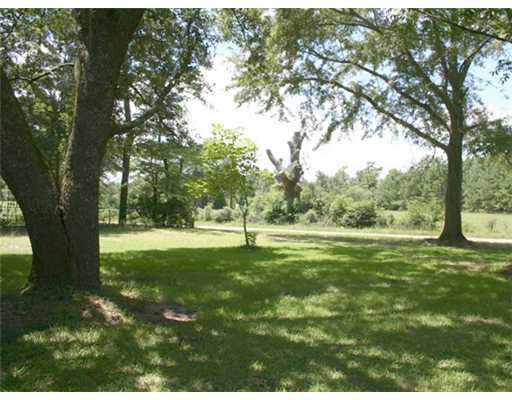 5002 St Ellen Road Leakesville, MS 39451 - Photo 9 of 10 Additional Photo