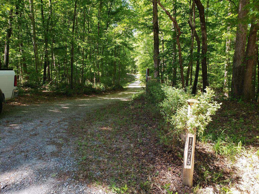 2 O Street Hamilton, GA 31811 - Photo 4 of 22 Gallery Image 4
