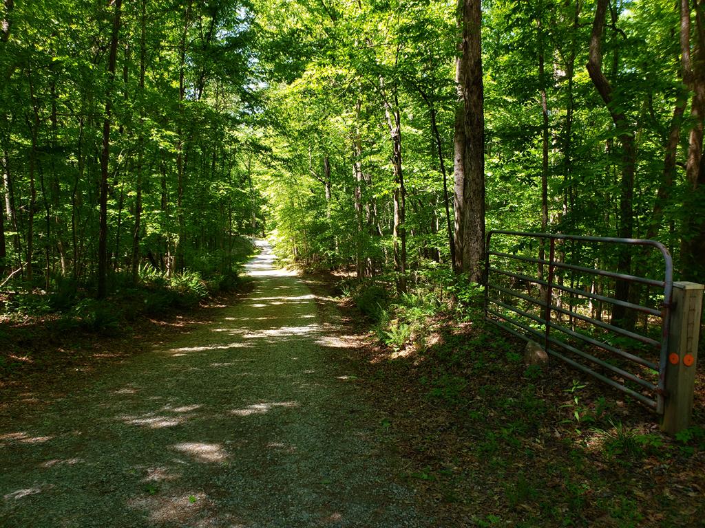 2 O Street Hamilton, GA 31811 - Photo 5 of 22 Gallery Image 5