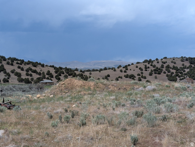 11799 Cove Creek Road Mount Pleasant, UT 84647 - Photo 11 of 15 Expansive hillside property featuring diverse native vegetation, including mature shrubs and trees
