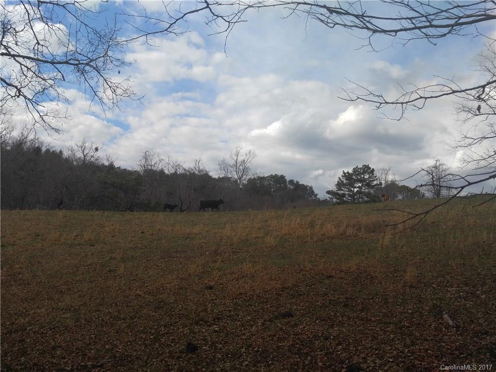 0 Guge Road Bryson City, NC 28713 - Photo 1 of 5