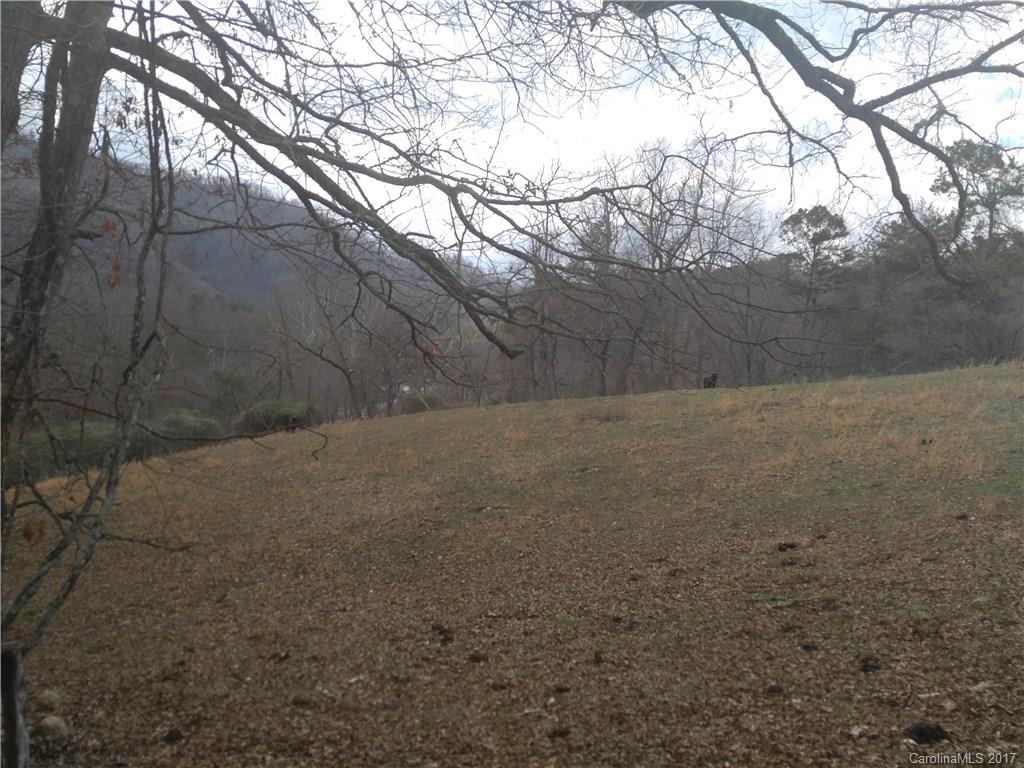 0 Guge Road Bryson City, NC 28713 - Photo 2 of 5