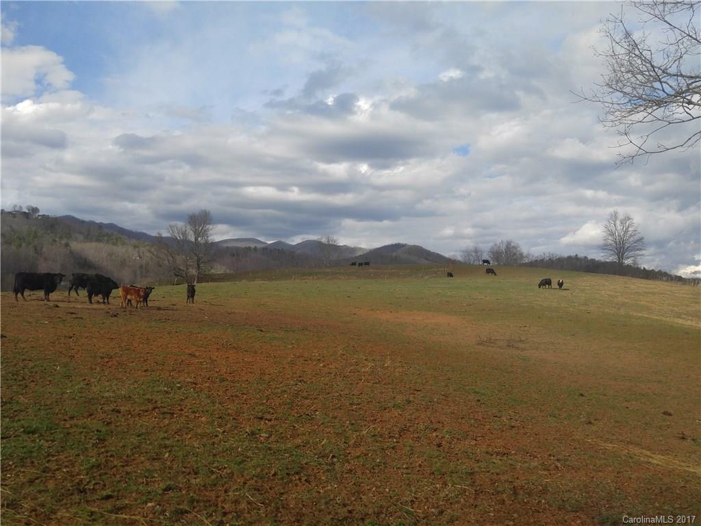 0 Guge Road Bryson City, NC 28713 - Photo 3 of 5