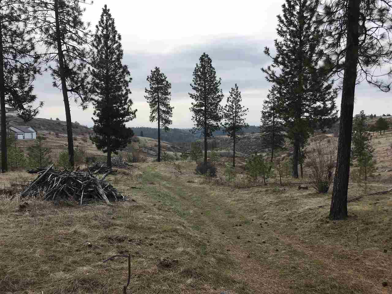 Xx West Tepee Road Spokane, WA 99224 - Photo 3 of 8