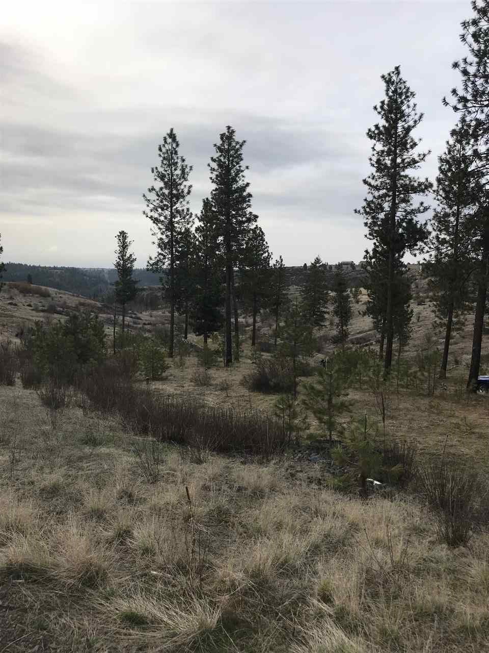 Xx West Tepee Road Spokane, WA 99224 - Photo 4 of 8