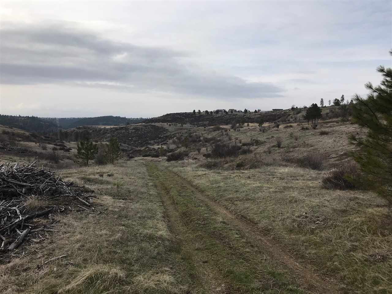 Xx West Tepee Road Spokane, WA 99224 - Photo 5 of 8