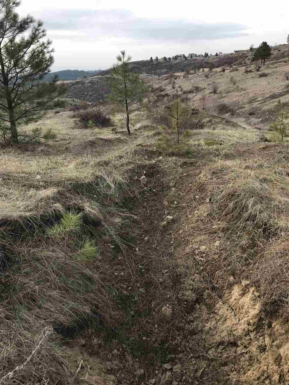 Xx West Tepee Road Spokane, WA 99224 - Photo 6 of 8