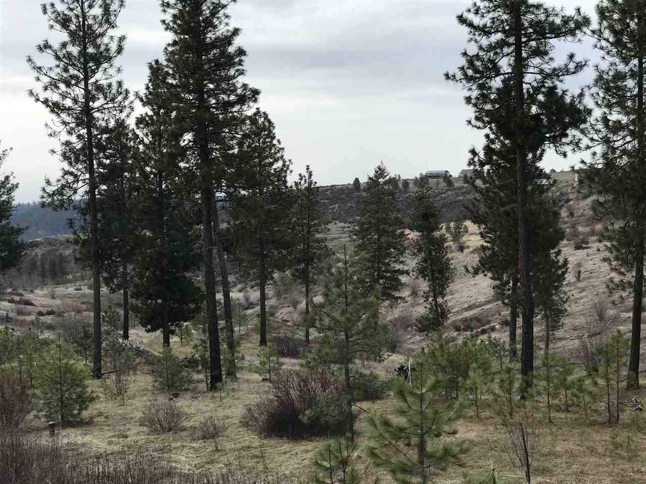 Xx West Tepee Road Spokane, WA 99224 - Photo 7 of 8