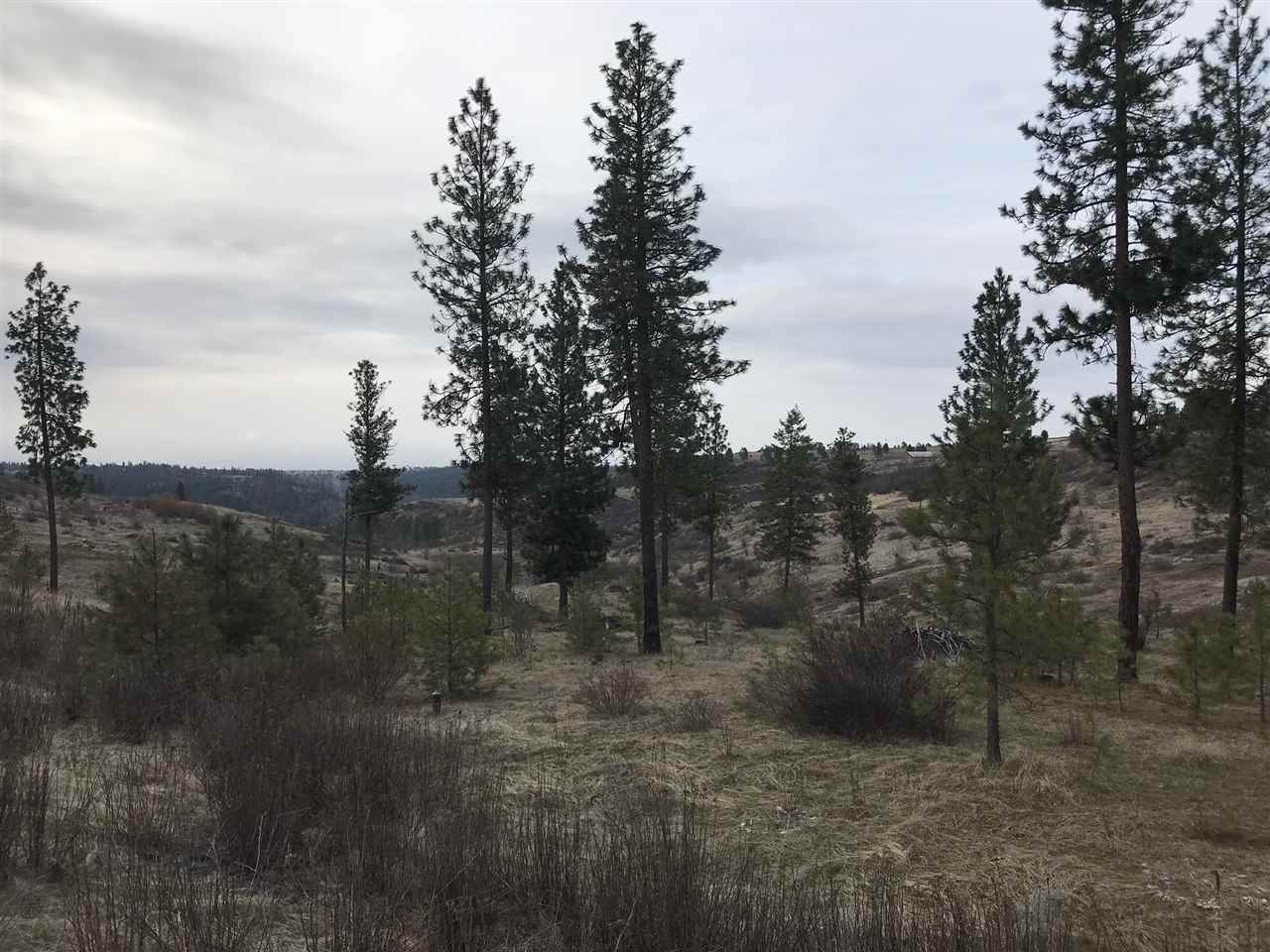 Xx West Tepee Road Spokane, WA 99224 - Photo 8 of 8