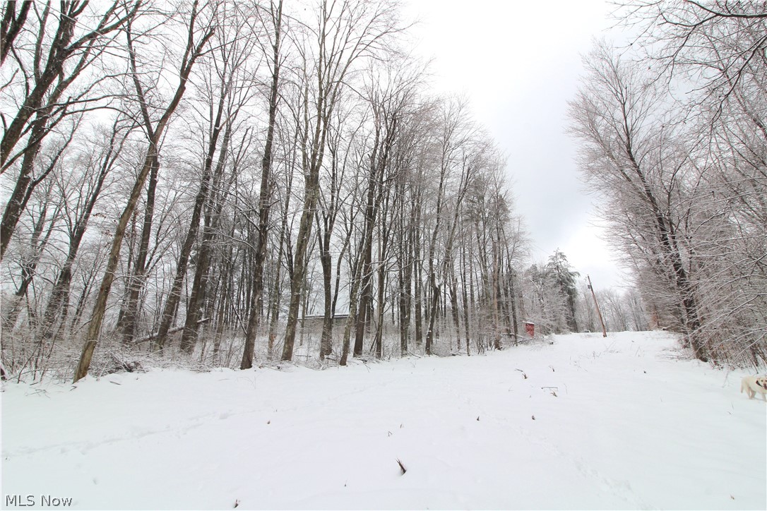 467 Township Road Sardis, OH 43946 - Photo 16 of 19 Gallery Image 16