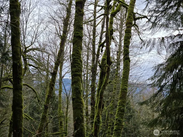 a view of an outdoor space