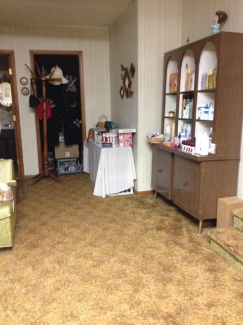 2020 North Saddler Road Luther, MI 49656 - Photo 21 of 34 Beauty Shop Photo 2