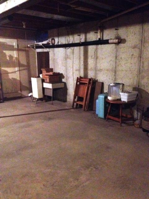 2020 North Saddler Road Luther, MI 49656 - Photo 25 of 34 Basement 1