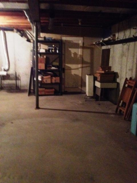 2020 North Saddler Road Luther, MI 49656 - Photo 26 of 34 Basement 2