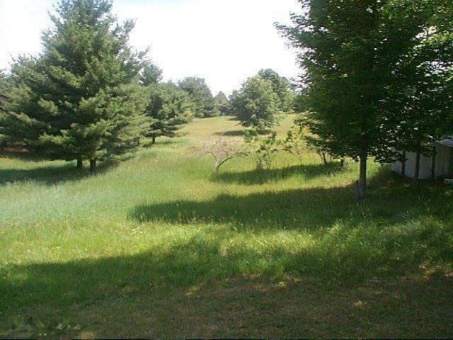 2020 North Saddler Road Luther, MI 49656 - Photo 34 of 34 Back Yard