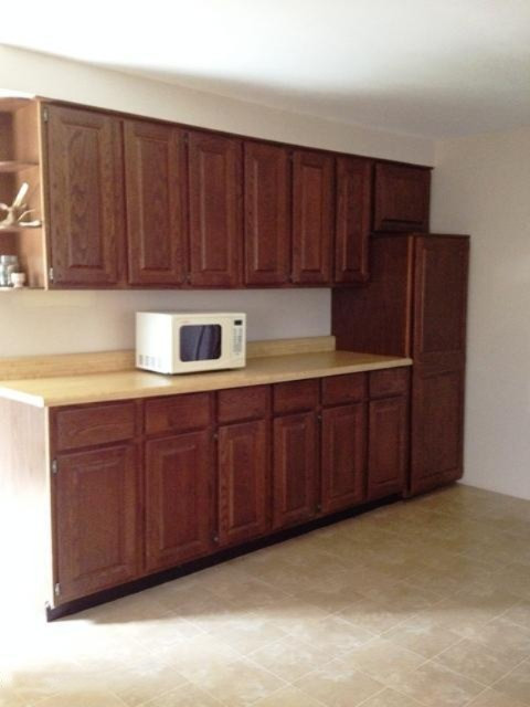 2020 North Saddler Road Luther, MI 49656 - Photo 5 of 34 Kitchen Photo 4