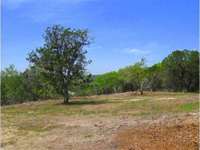 2801 Old Red Ranch Road Dripping Springs, TX 78620 - Photo 1 of 1 a view of a field with trees in the background