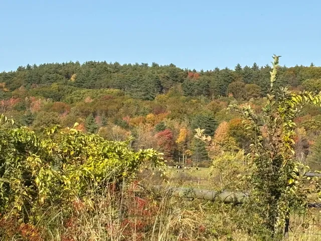 $650,000 | 0 Middle Road, Hancock, NH 03449