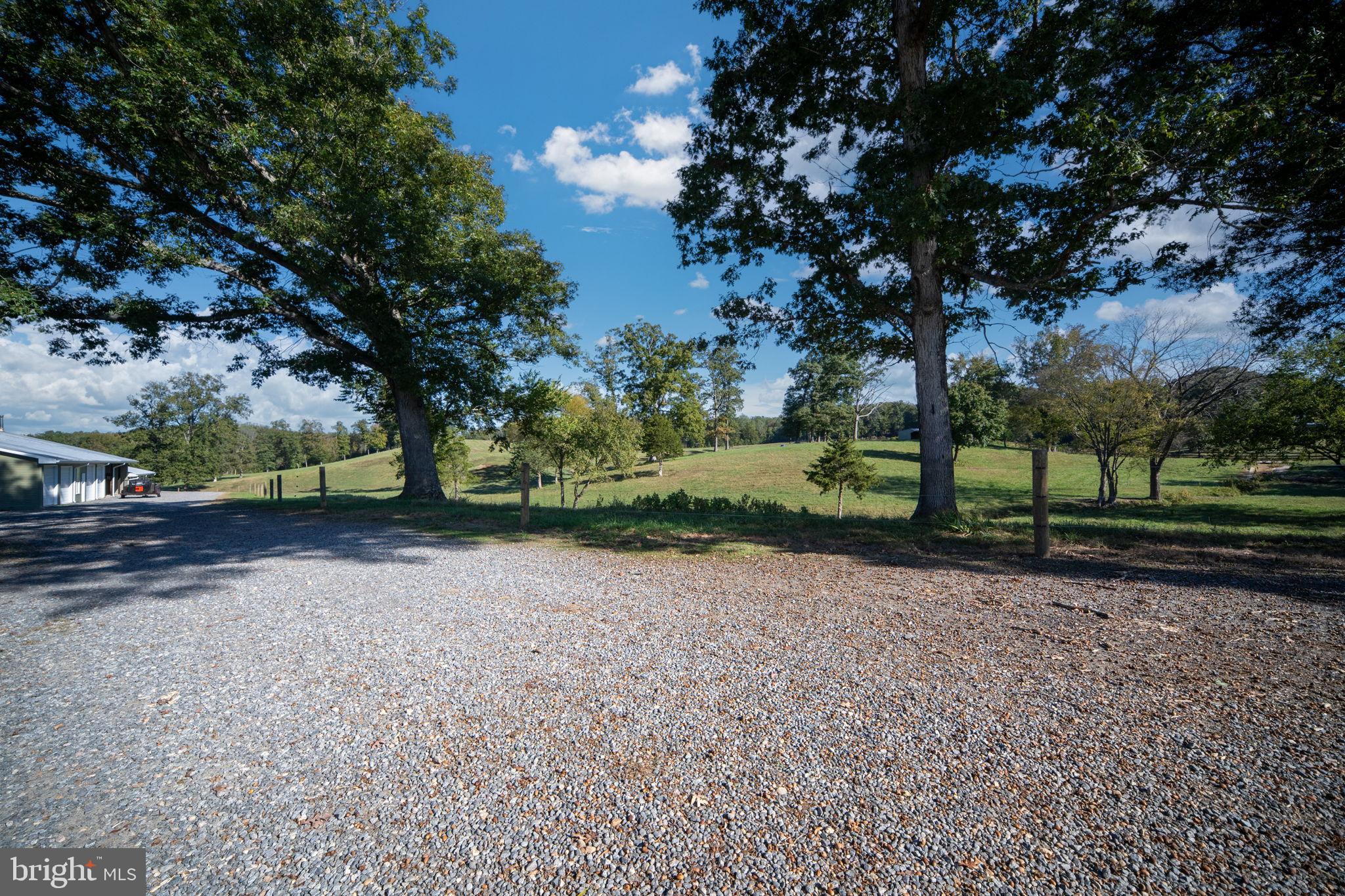 161 Forest Lane Road Fredericksburg, VA 22405 - Photo 73 of 99 Front pasture looking towards the back of the farm