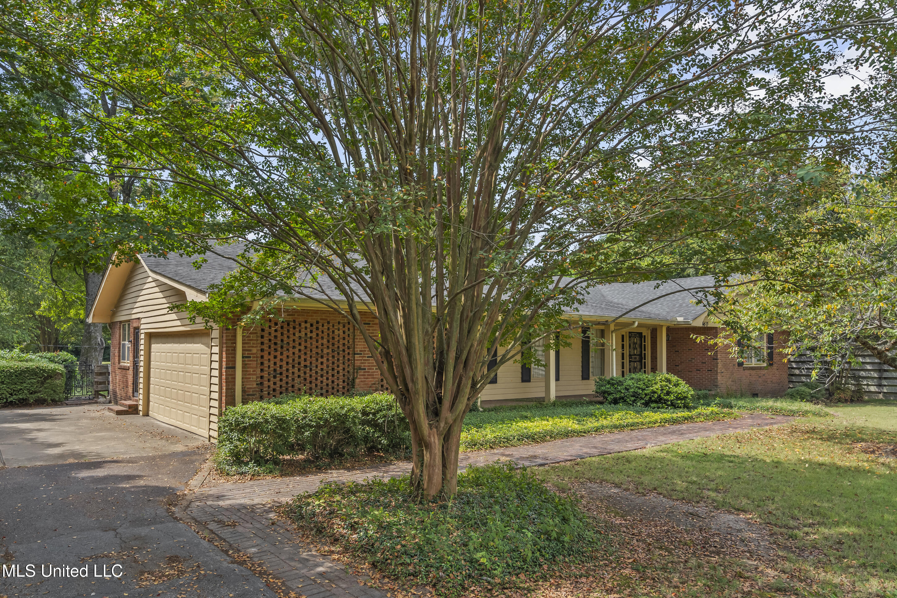 460 1st Street Lula, MS 38617 - Photo 4 of 36 4__dsc7497