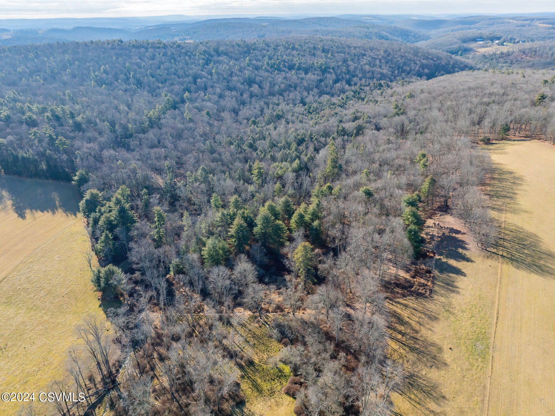 Lot 1 Waller Divide Road Benton, PA 17814 - Photo 6 of 14