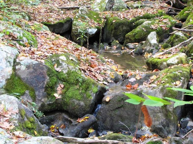 Laurel Creek Road Wayside, WV 24985 - Photo 16 of 28 Gallery Image 16