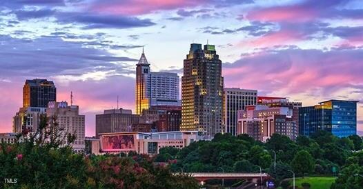 45 High Hampton Way Fuquay-Varina, NC 27526 - Photo 41 of 43 a view of a city with tall buildings