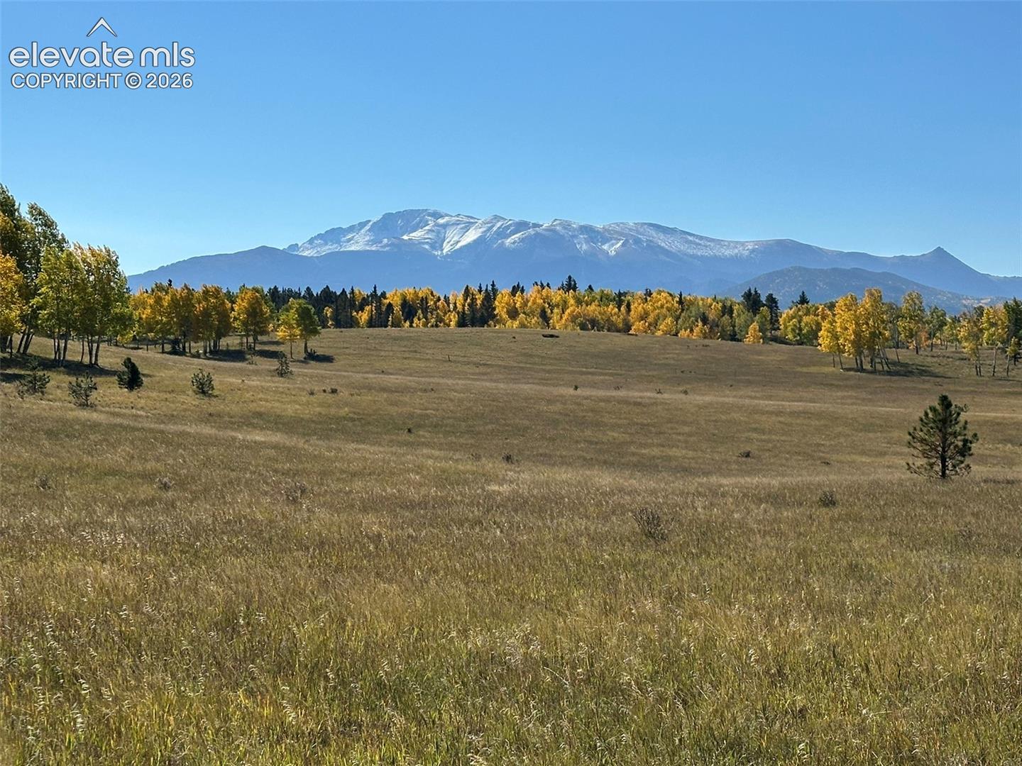 2940 NORTH Rd Divide Divide, CO 80814 - Photo 7 of 27 Gallery Image 7