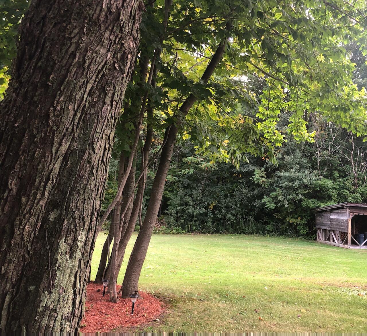 280 Norridgewock Road Fairfield, ME 04937 - Photo 27 of 27 Back Yard