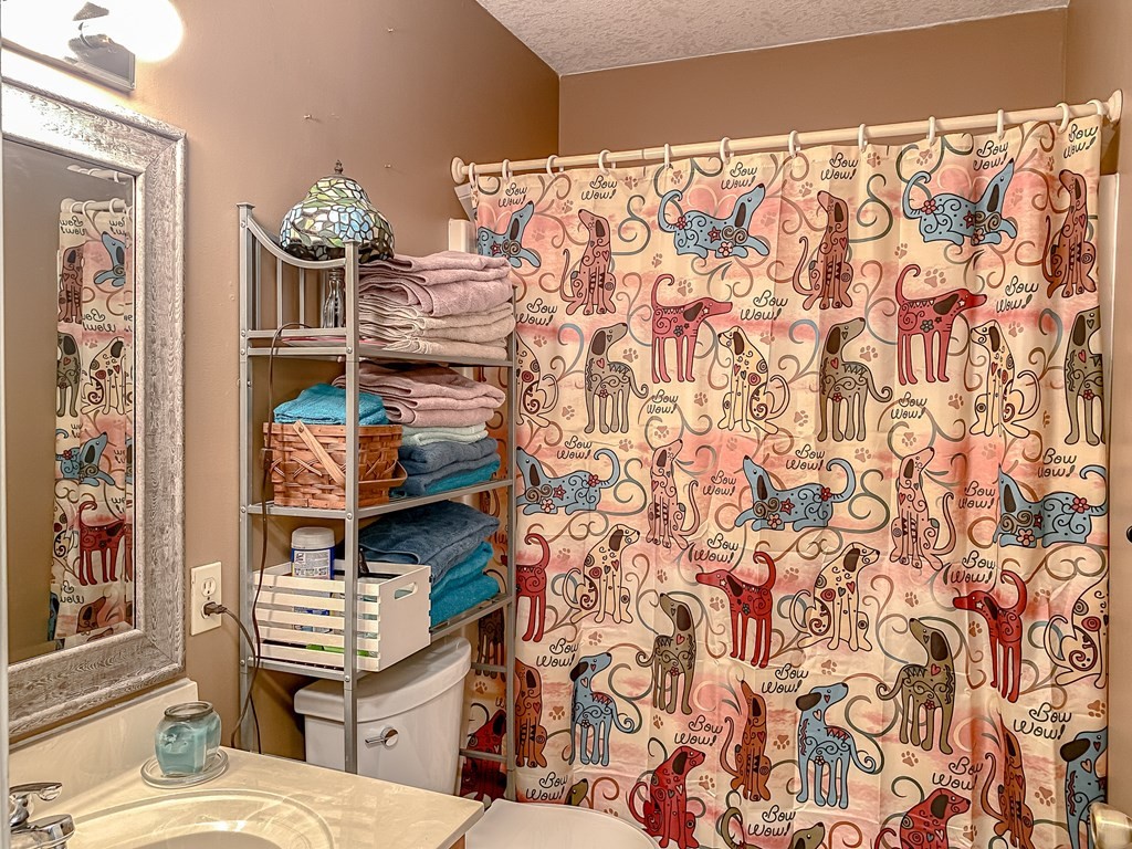 137 Old James Ferry Road Kingston, TN 37763 - Photo 12 of 60