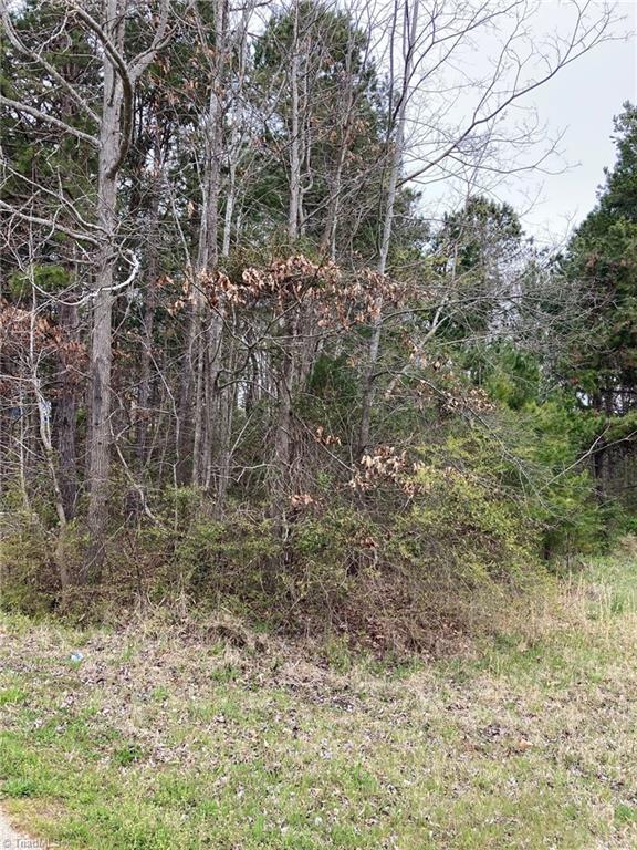 7 Reddy Foxx Lane Thomasville, NC 27360 - Photo 3 of 7 Gallery Image 3