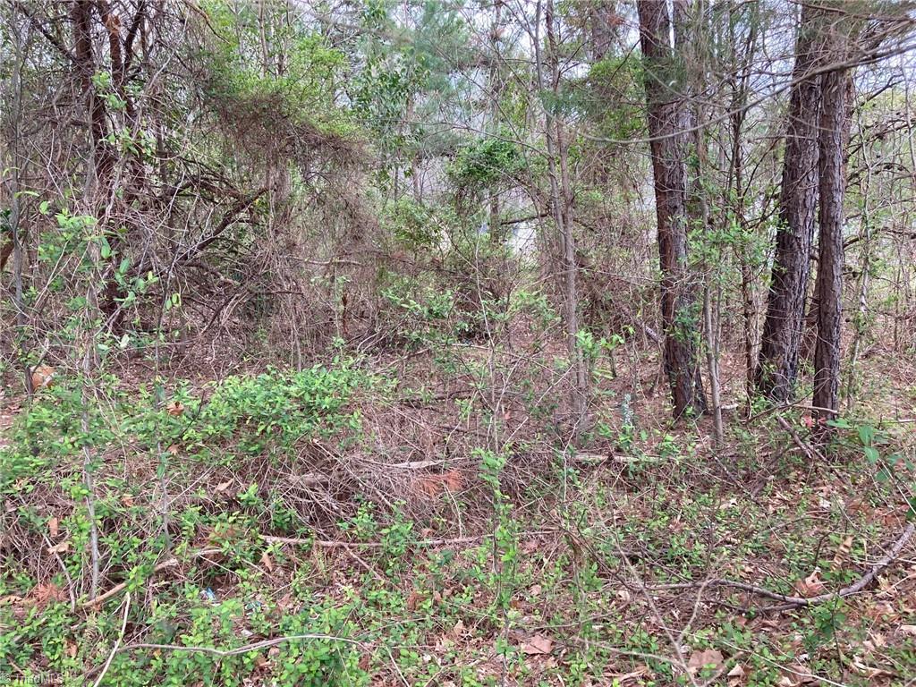 7 Reddy Foxx Lane Thomasville, NC 27360 - Photo 7 of 7 Gallery Image 7