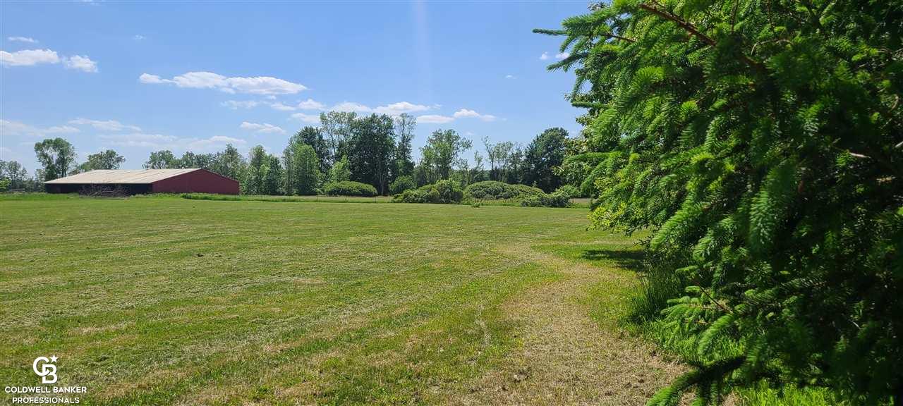 8331 Mason Road Yale, MI 48097 - Photo 65 of 67 Yard View 6
