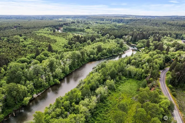 an aerial view of green landscape with trees houses and mountain view