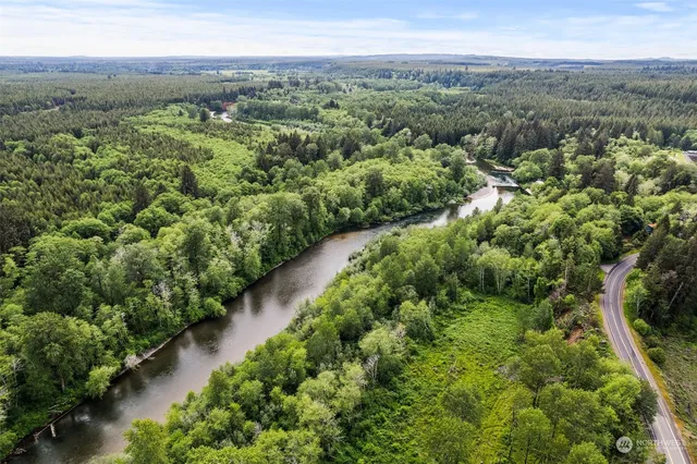 an aerial view of green landscape with trees houses and mountain view