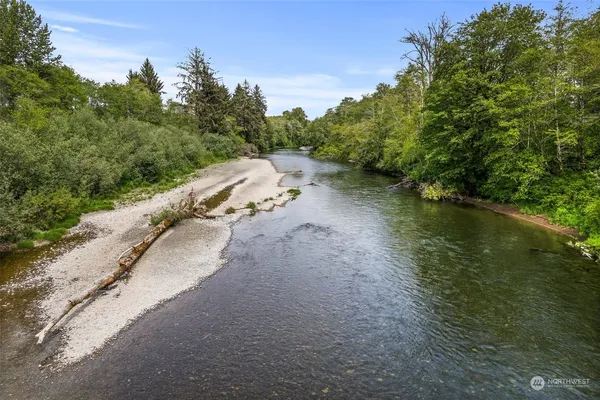 a view of a road with a yard and large trees