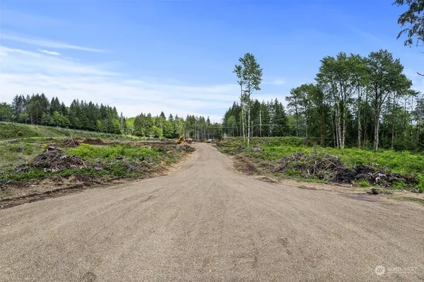 a view of a rural road with plants and trees