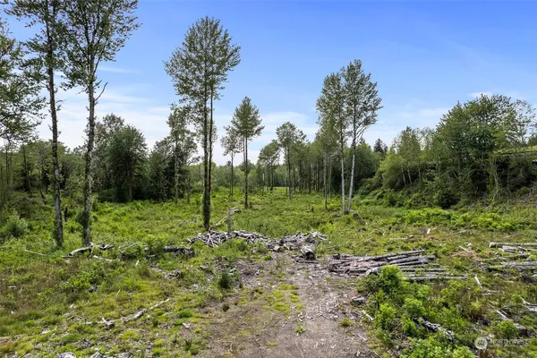 a view of a green field with lots of bushes