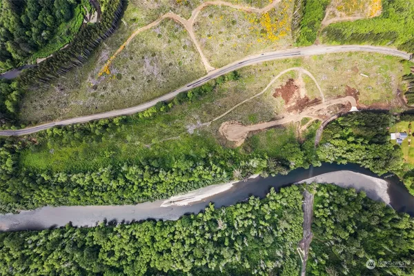 a view of statue with a garden