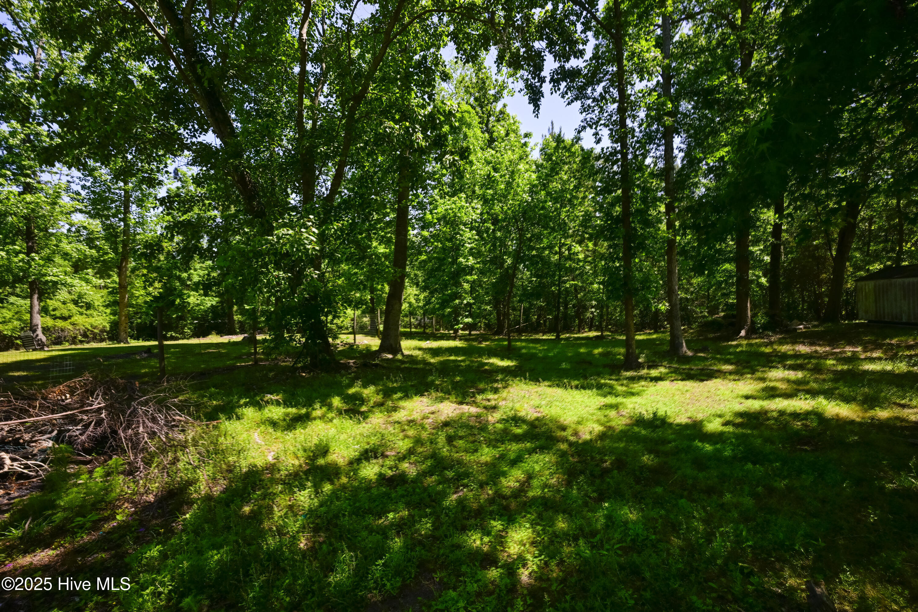 237 Riverbend Road Jacksonville, NC 28540 - Photo 88 of 97 _DSC0740