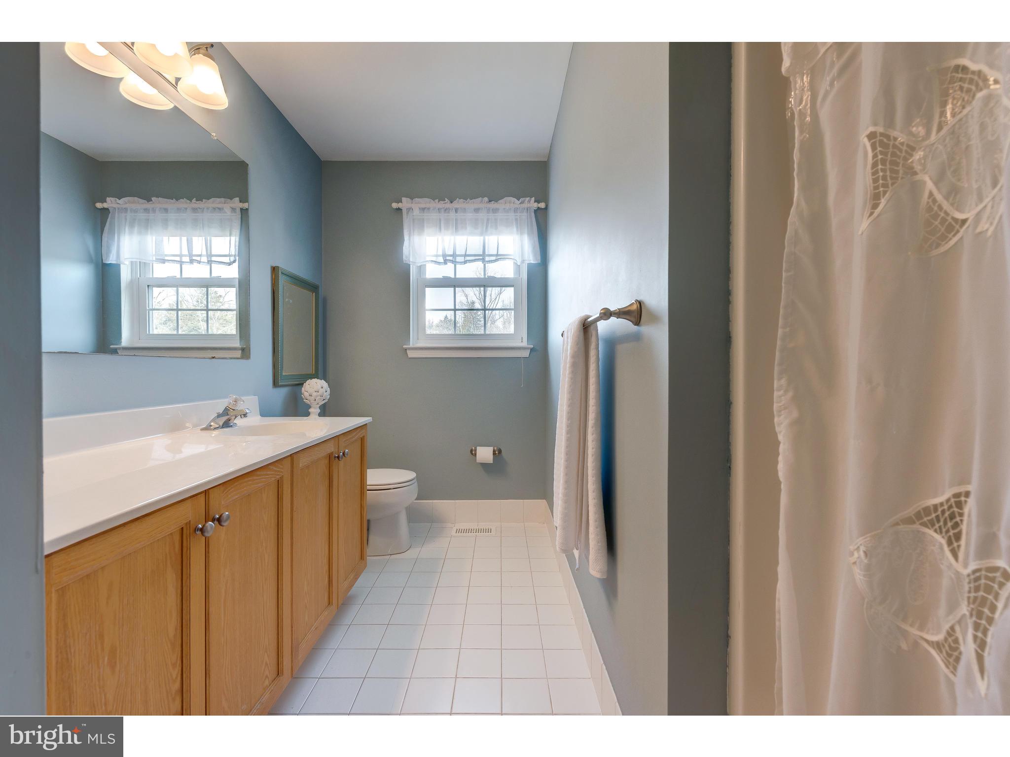 103 Julie Road Pottstown, PA 19464 - Photo 27 of 31 Full Bathroom on the Second Level