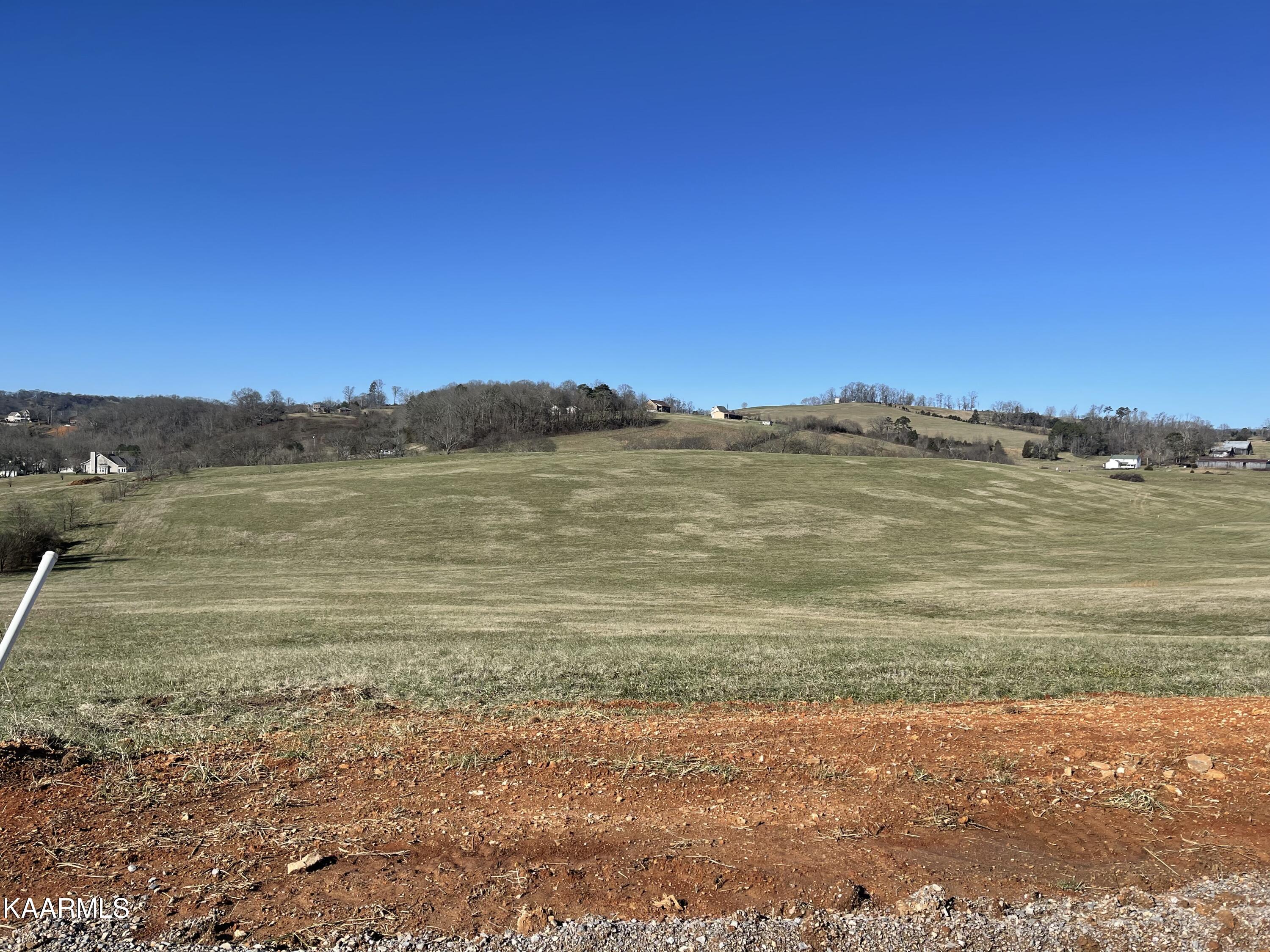 Lot 6 Howell River Road Rutledge, TN 37861 - Photo 2 of 2 IMG_4477