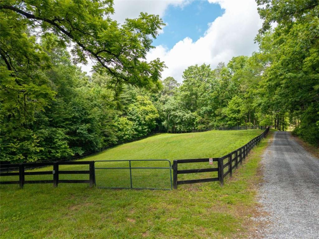 5664 Mobile Road Blue Ridge, GA 30513 - Photo 53 of 66