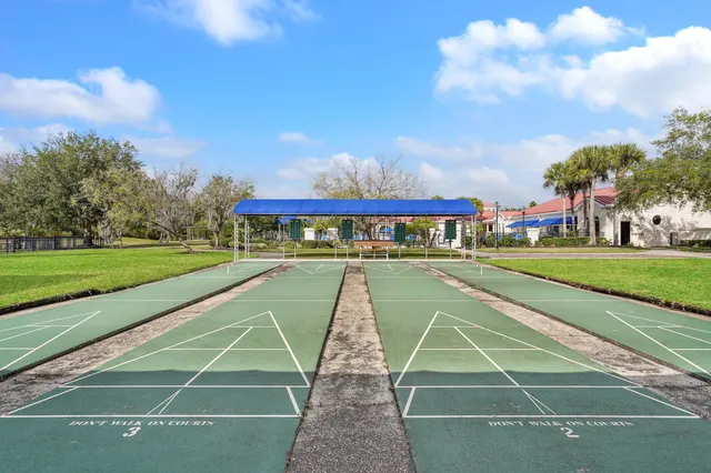 a view of a park with large trees