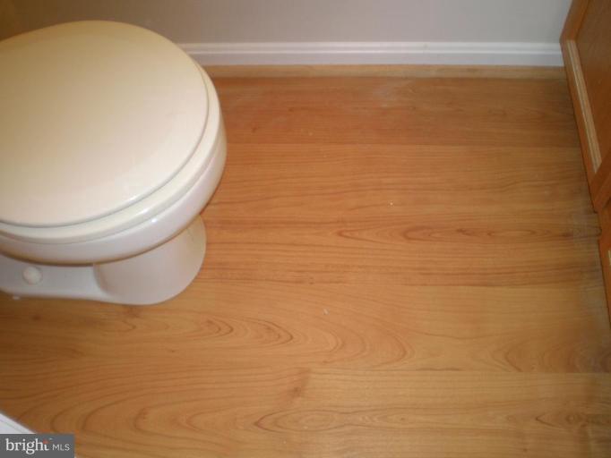 7012 Bridgepointe Drive, Unit 52 Chester, MD 21619 - Photo 11 of 12 a view of bathroom