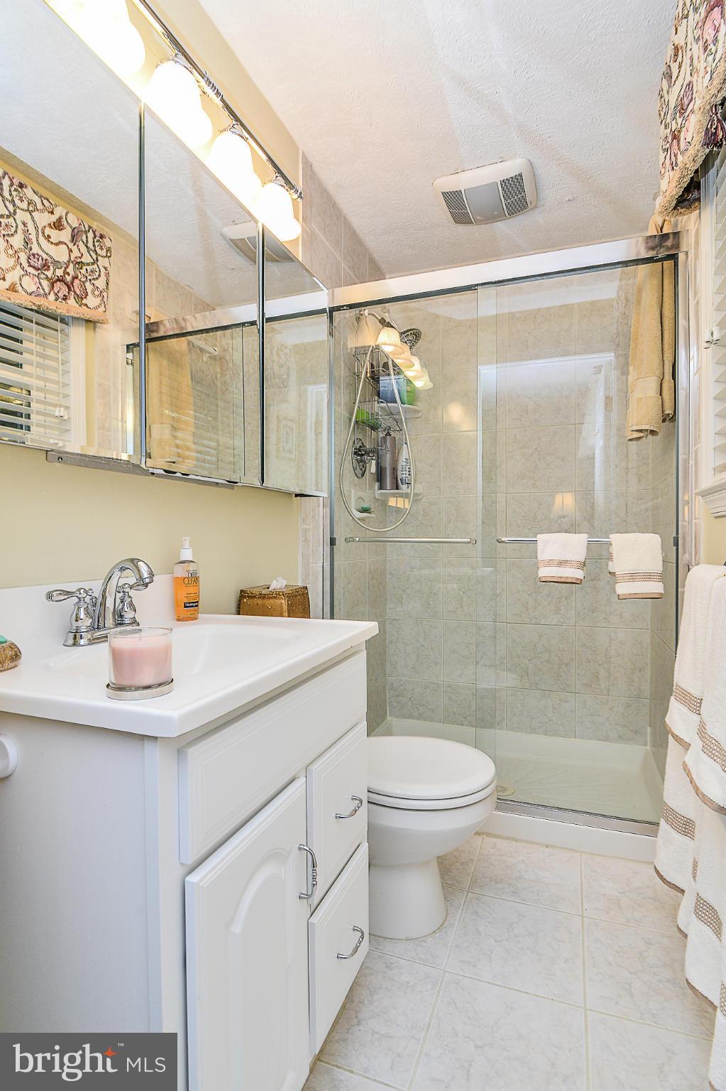 6265 Lee Chapel Road Burke, VA 22015 - Photo 14 of 30 Bath (Master)