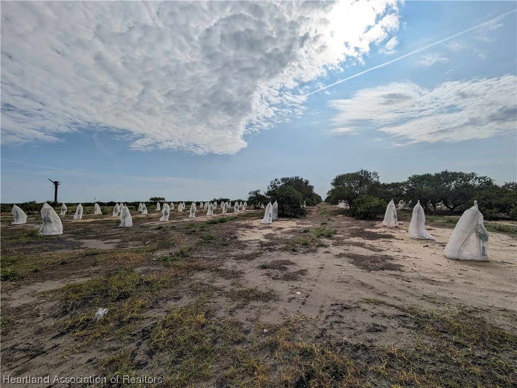 8830 East Twitty Road Sebring, FL 33876 - Photo 12 of 14 Gallery Image 12